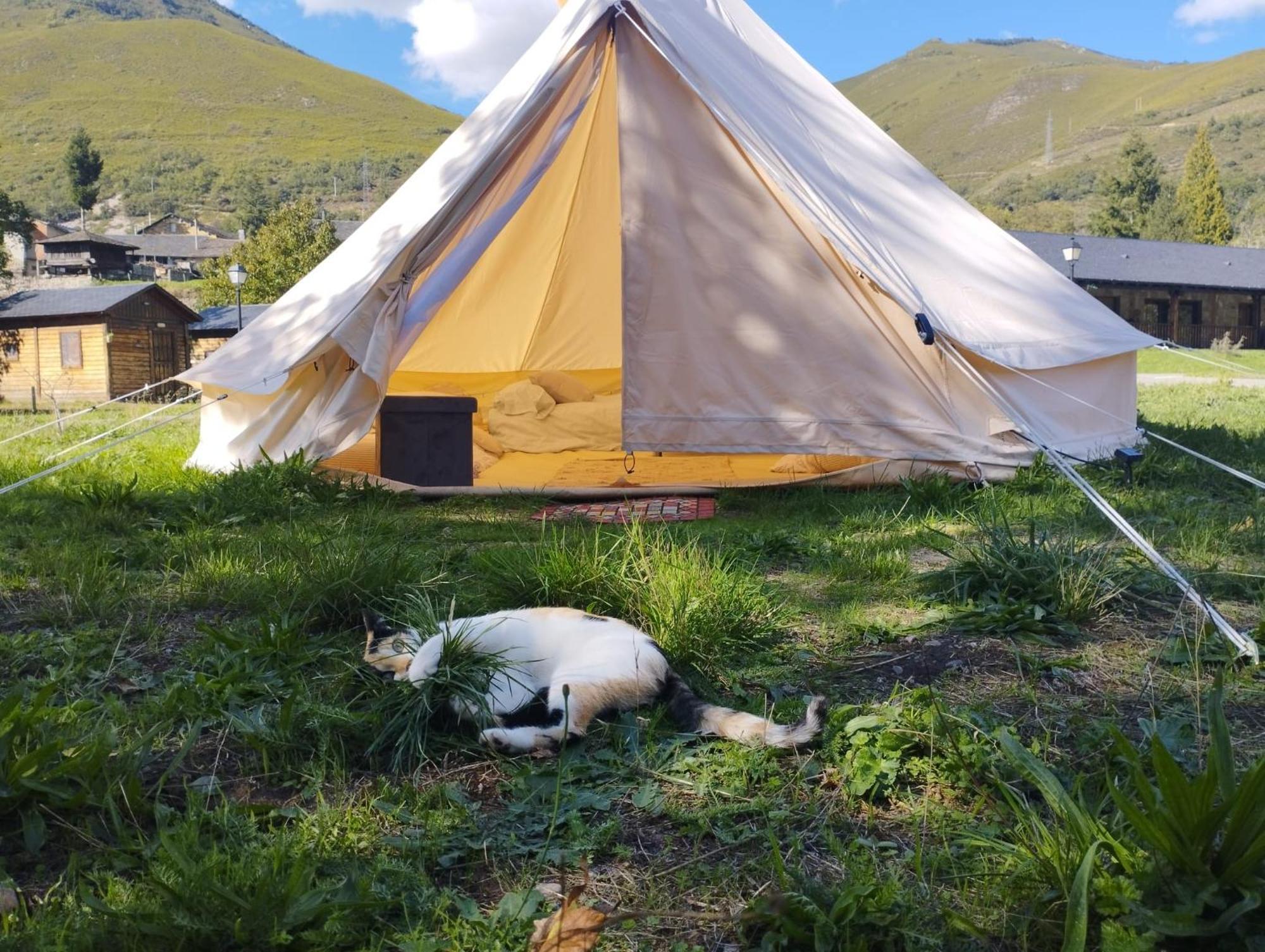 Camping La Zarapica - Palacios Del Sil Kültér fotó